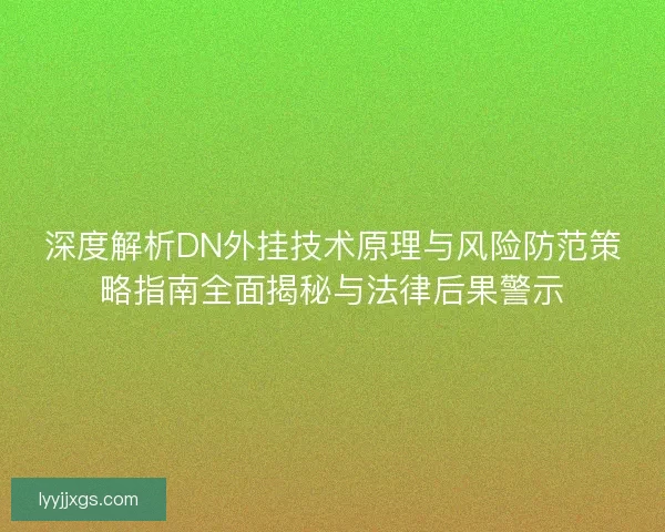 深度解析DN外挂技术原理与风险防范策略指南全面揭秘与法律后果警示
